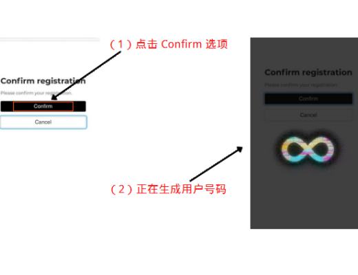 DFINITY钱包之NNS应用教程以及操作注意事项