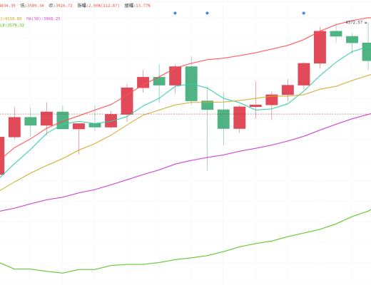 王者币圈 5.13 马斯克又发推特 动物币还不跑 早晚得凉凉