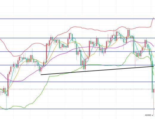 王者币圈 5.13 马斯克又发推特 动物币还不跑 早晚得凉凉