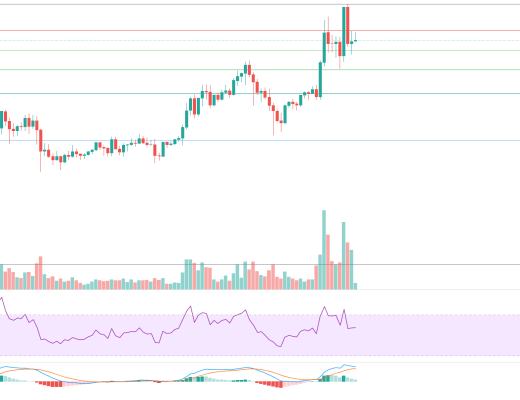 金色趋势丨牛市还未终结 大幅回落分批低吸