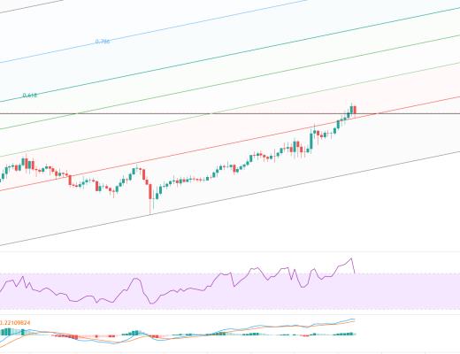 金色趋势丨牛市还未终结 大幅回落分批低吸
