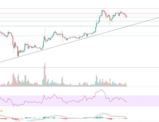 金色趋势丨牛市还未终结 大幅回落分批低吸