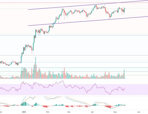 金色趋势丨牛市还未终结 大幅回落分批低吸