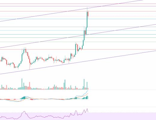 金色趋势丨牛市还未终结 大幅回落分批低吸