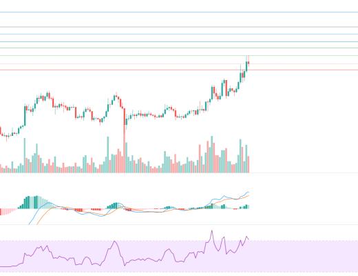 金色趋势丨牛市还未终结 大幅回落分批低吸