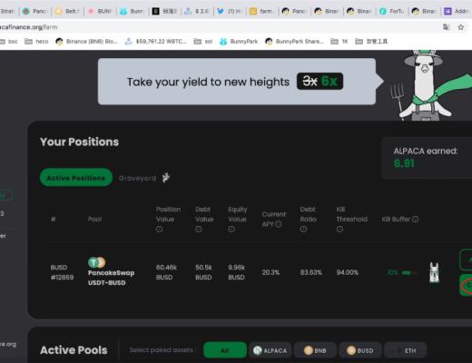 如何在Alpaca.Finance上进行稳定币杠杆挖矿