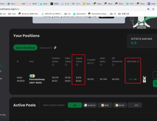 如何在Alpaca.Finance上进行稳定币杠杆挖矿