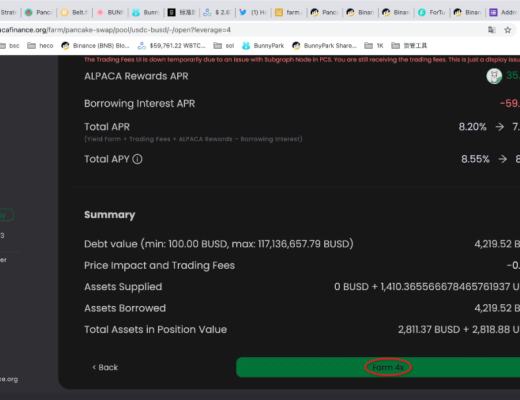 如何在Alpaca.Finance上进行稳定币杠杆挖矿