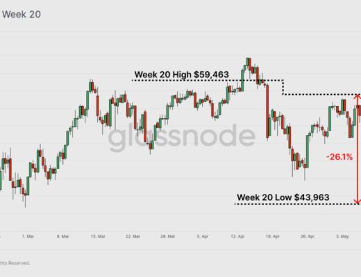 BTC 恐慌下跌中 HODLer 仍在加仓?