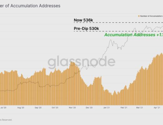 BTC 恐慌下跌中 HODLer 仍在加仓?