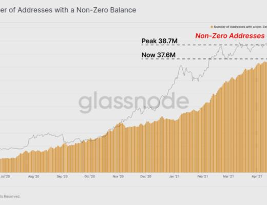 BTC 恐慌下跌中 HODLer 仍在加仓?