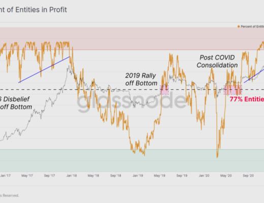 BTC 恐慌下跌中 HODLer 仍在加仓?