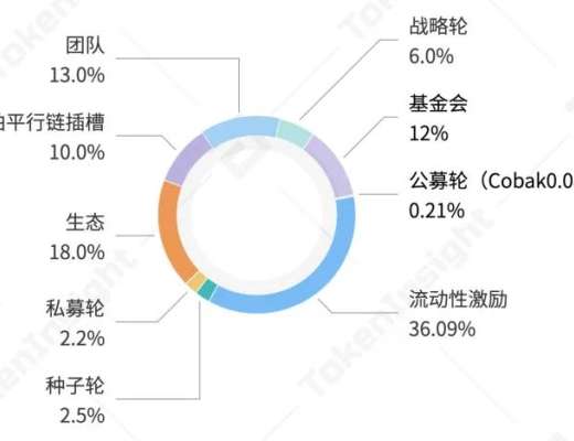 TI 评级报告 | RAI Finance：B 展望正面
