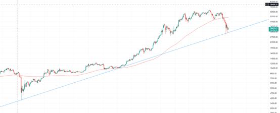 金色趋势丨牛市仍未结束 大反弹即将到来