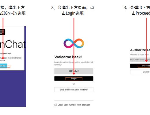 一文带你玩转DFINITY生态