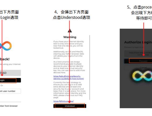 一文带你玩转DFINITY生态