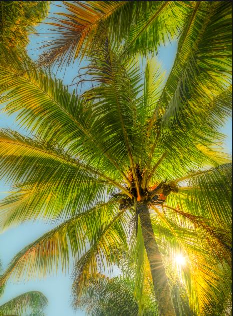 二爷说币：大饼走高是否调整结束？