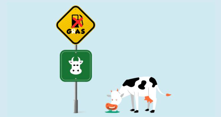 三分钟读懂 CowSwap:无 MEV、低手续费交易如何实现?