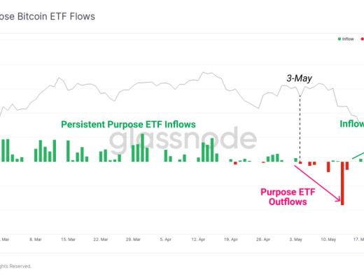 5月份市场抛售分析：接下来是牛市还是熊市？