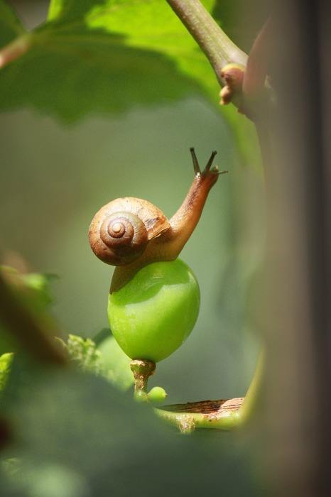 二爷说币:下一轮的牛儿爆发时让你措手不及