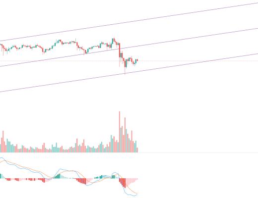 金色趋势丨多头力量正在恢复 大反弹即将到来