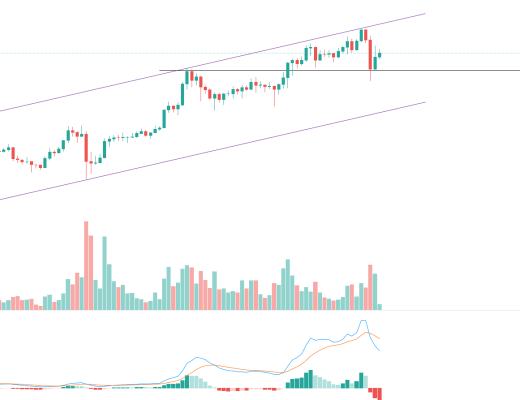 金色趋势丨多头力量正在恢复 大反弹即将到来