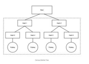 详解Vocdoni：去中心化的投票系统