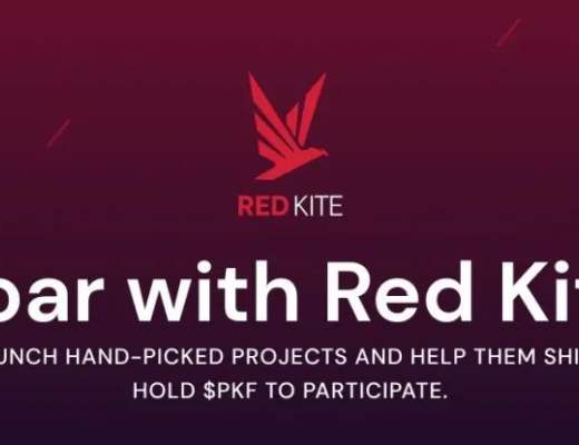 在6大ido平台中寻找早期投资机会