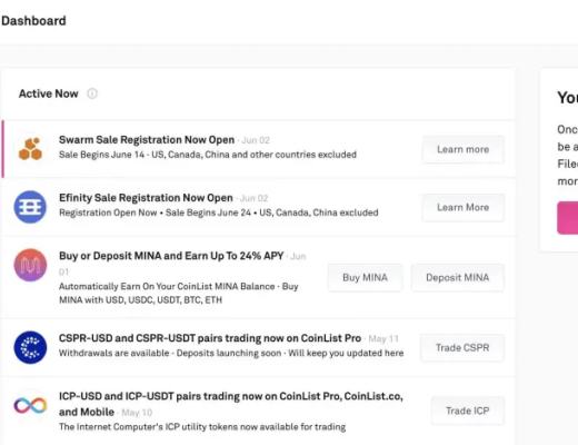 身穿黄马褂 Swarm的BZZ公开售卖到底有多香？