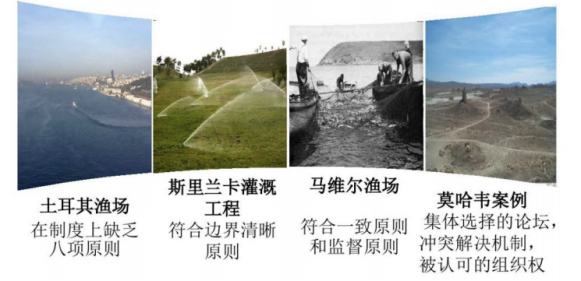 DAOrayaki 奥斯特罗姆:公共事务的治理之道