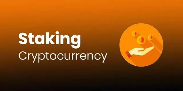 科普：带你读懂什么是Staking