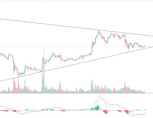 金色趋势丨市场超跌反弹只会迟到 不会缺席