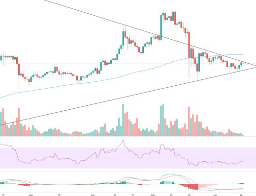 金色趋势丨市场超跌反弹只会迟到 不会缺席