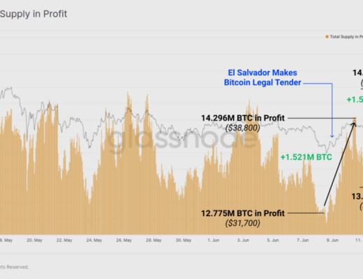 长期持有者并未卖出任何 BTC?