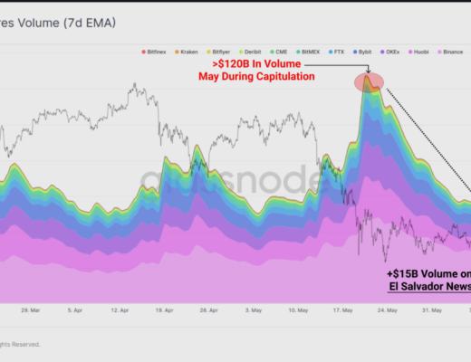 长期持有者并未卖出任何 BTC?