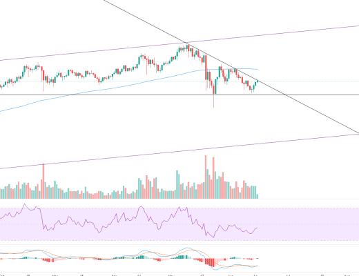 金色趋势丨市场超跌反弹只会迟到 不会缺席