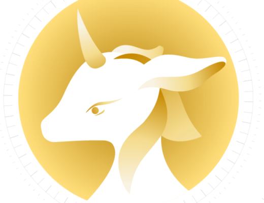 DINA项目：全民分红模式的新探索