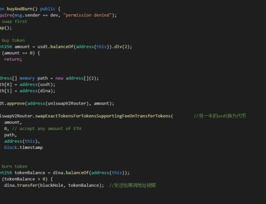 DINA项目：全民分红模式的新探索