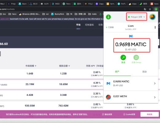 如何在Polygon上使用AAVE实现抵押借贷？