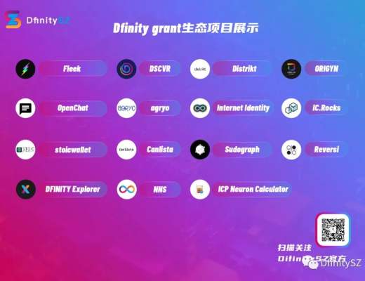 详解Dfinity官网Grant展示项目