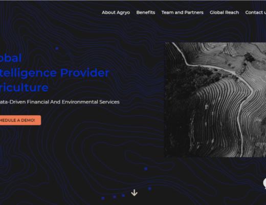 详解Dfinity官网Grant展示项目