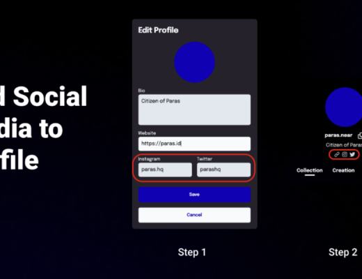 Paras产品更新 关于竞拍功能等