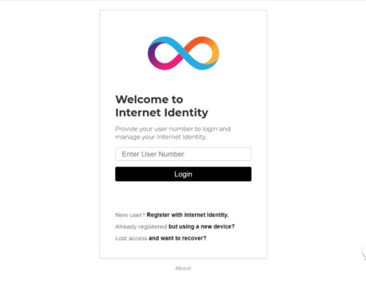 详解Dfinity官网Grant展示项目