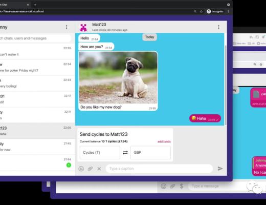 详解Dfinity官网Grant展示项目