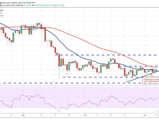 分析:山寨币价格正在走高 下跌趋势可能即将结束