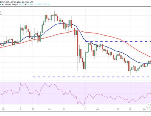 分析:山寨币价格正在走高 下跌趋势可能即将结束