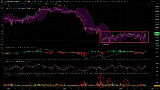 多头反弹无力 市场将再次跌至冰点？