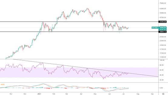 金色趋势丨平静之下憋大招 酝酿变盘格局