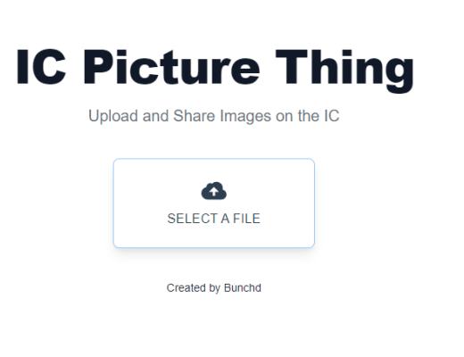 DFINITY 生态项目大起底