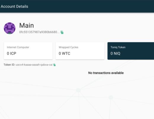 DFINITY 生态项目大起底